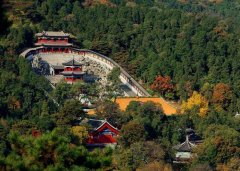 香山包车价格,香山包车短途接送多少钱？